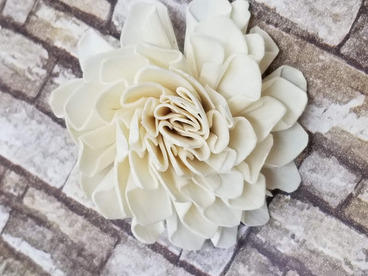 Dahlia - 2"
