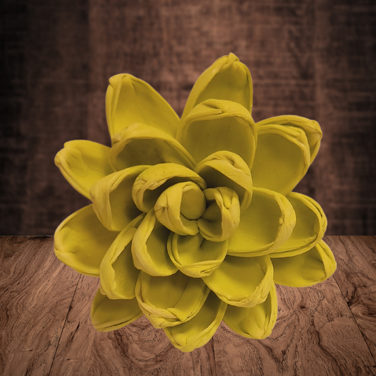 Tennis Ball Wood Flower Dye
